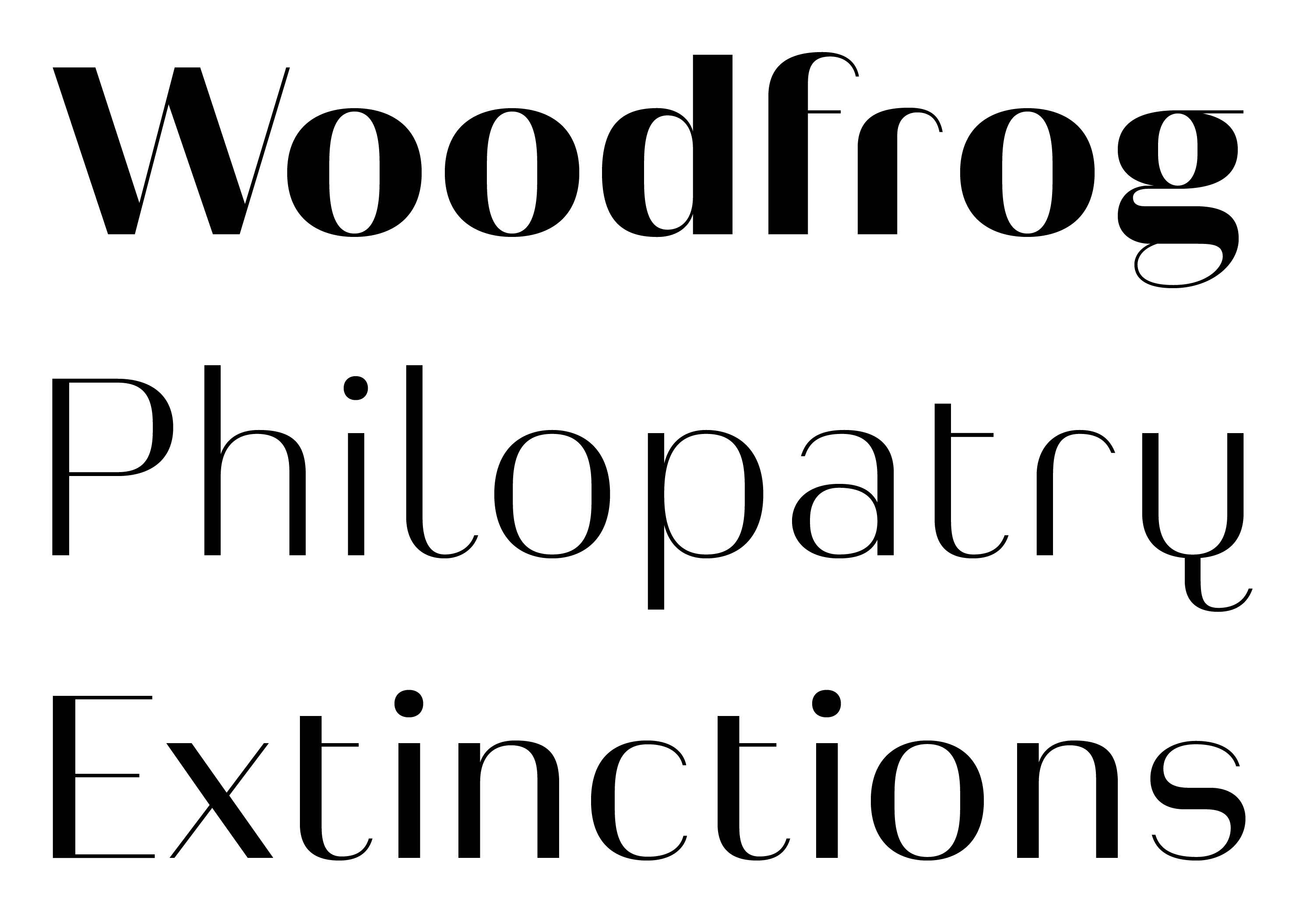 Typeface Heimat Display A02 Atlas Font Foundry