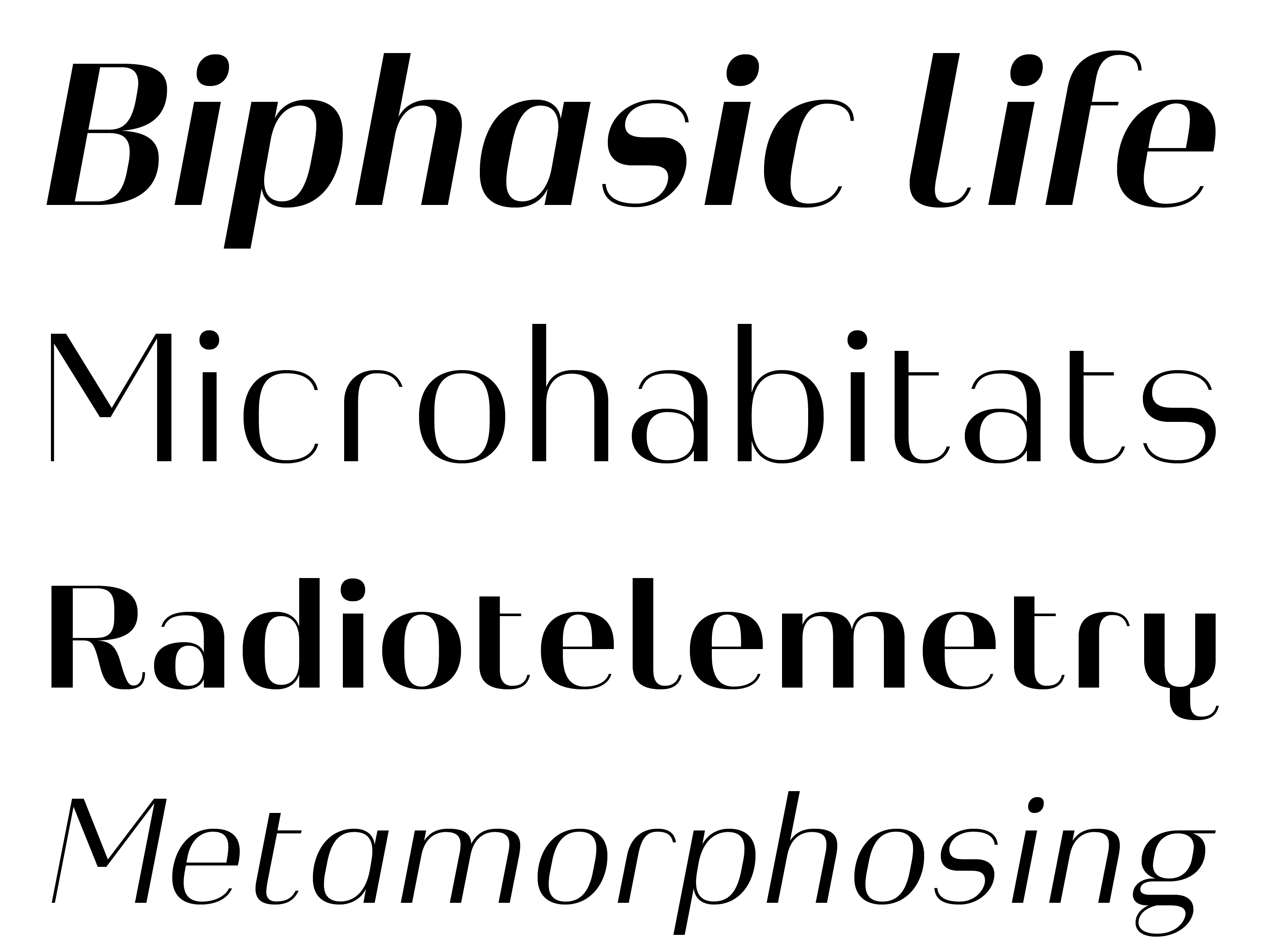 Typeface Heimat Display A03 Atlas Font Foundry