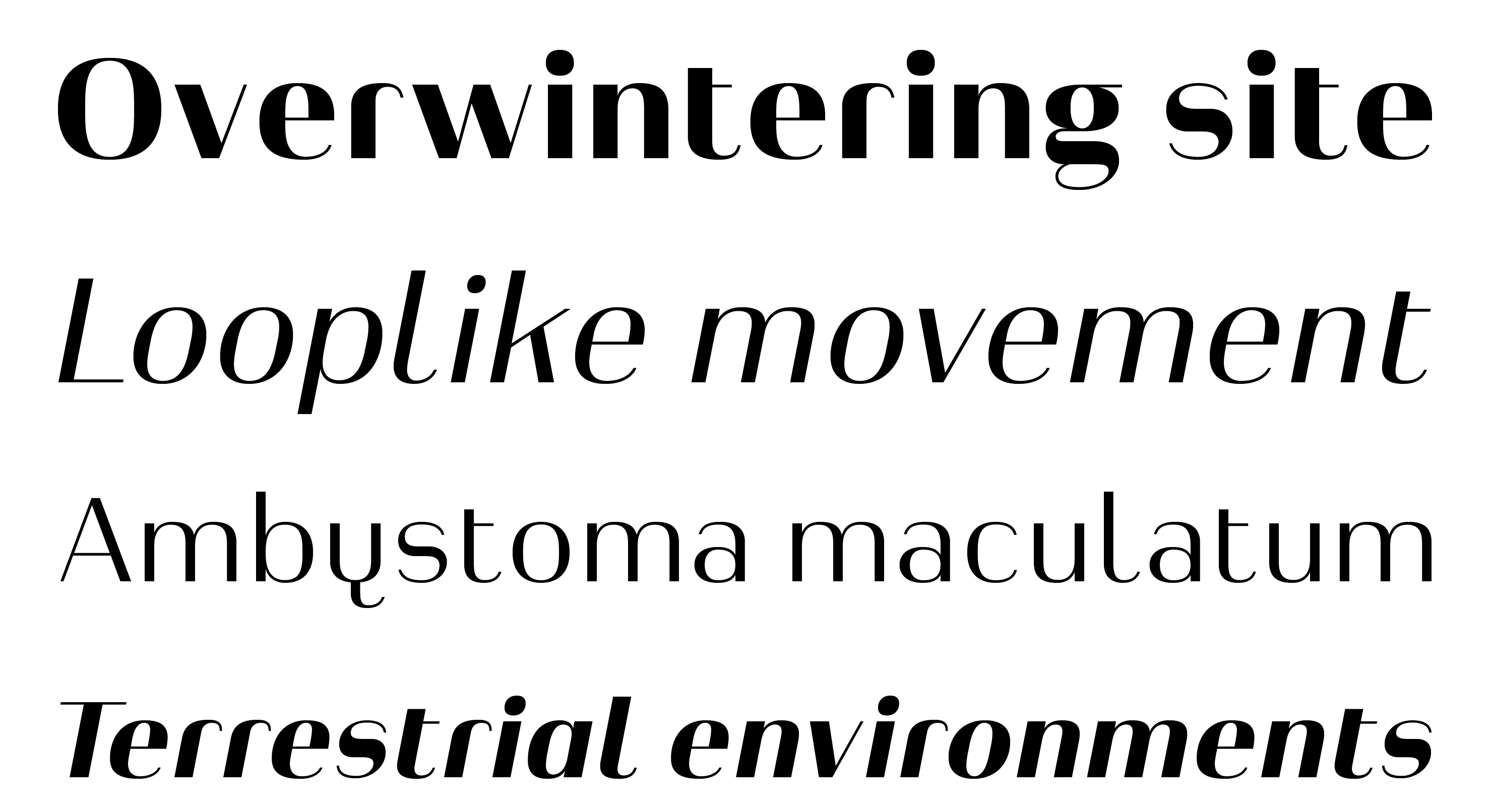 Typeface Heimat Display A04 Atlas Font Foundry