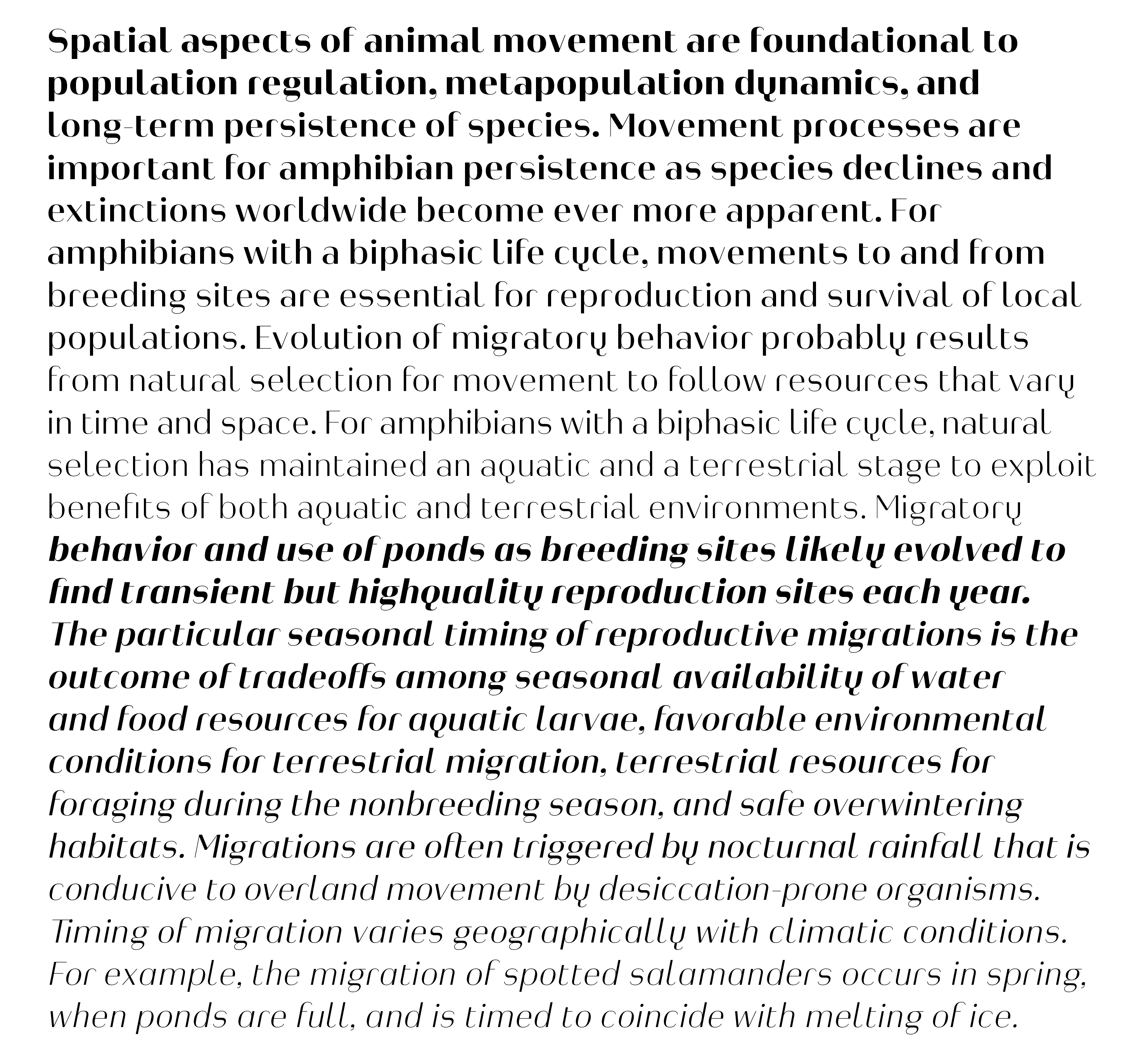 Typeface Heimat Display B01 Atlas Font Foundry