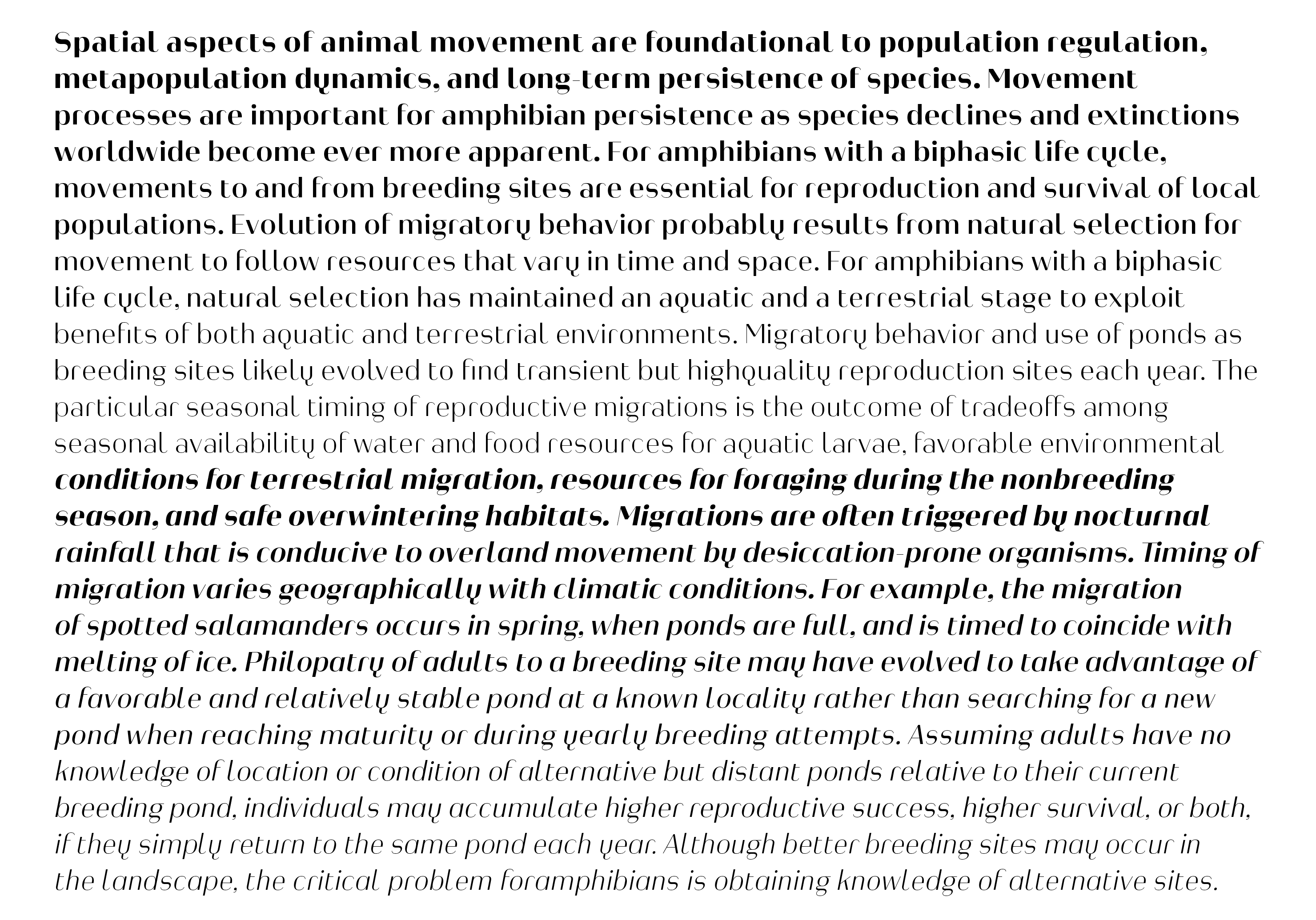 Typeface Heimat Display B02 Atlas Font Foundry